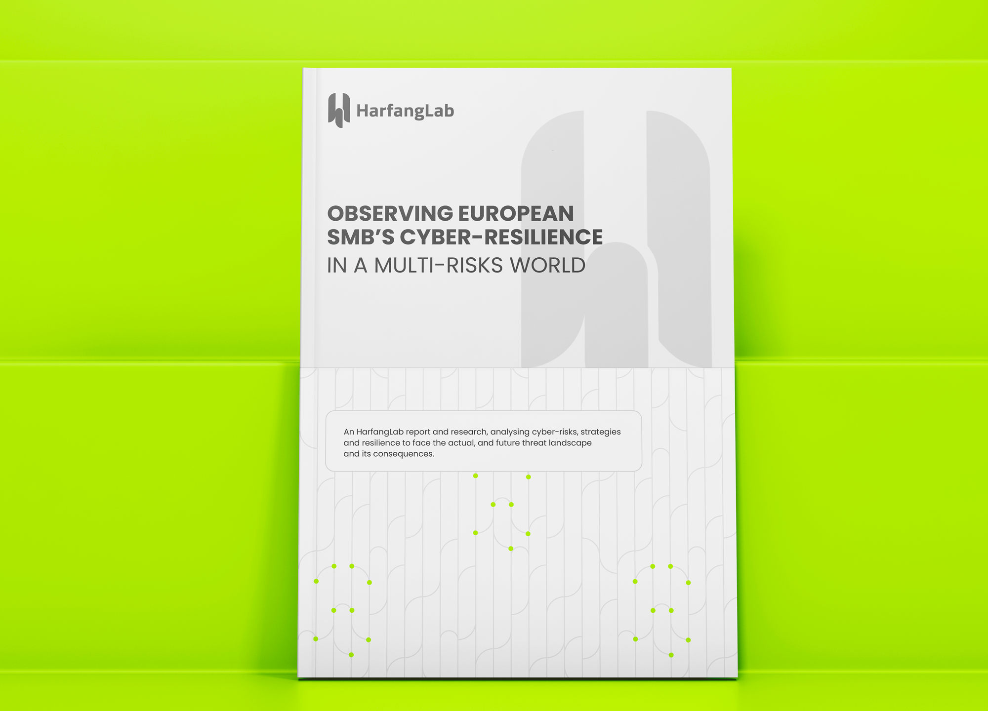2024-smb-reports-ebook-visuel-en-harfanglab