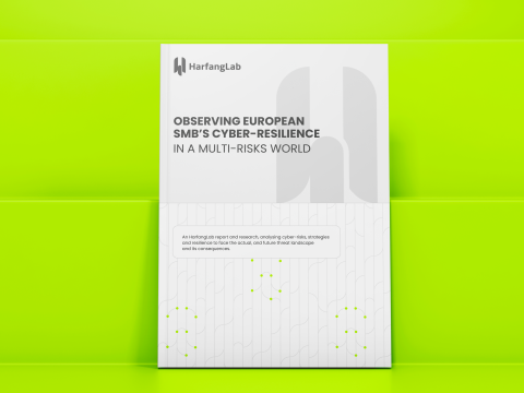 2024-smb-reports-ebook-visuel-en-harfanglab
