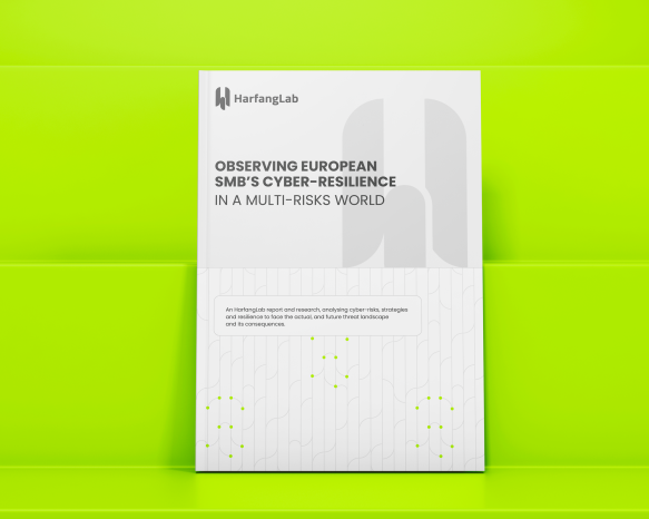 2024-smb-reports-ebook-visuel-en-harfanglab