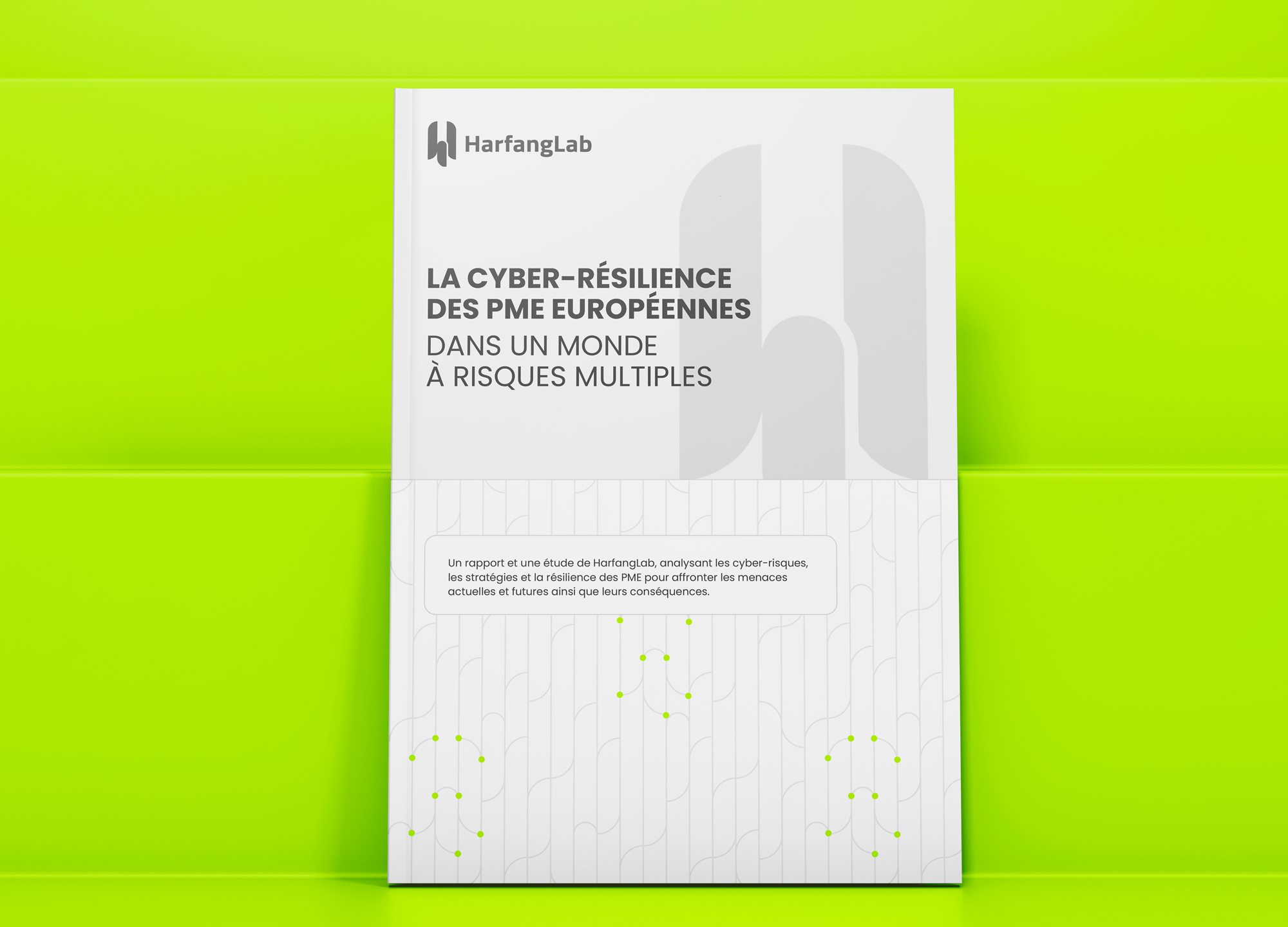 2024_SMB_Reports_Ebook_Visuel_FR_HarfangLab