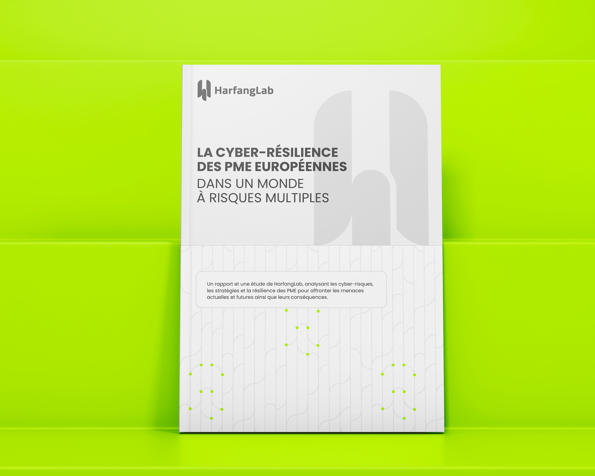 2024_SMB_Reports_Ebook_Visuel_FR_HarfangLab