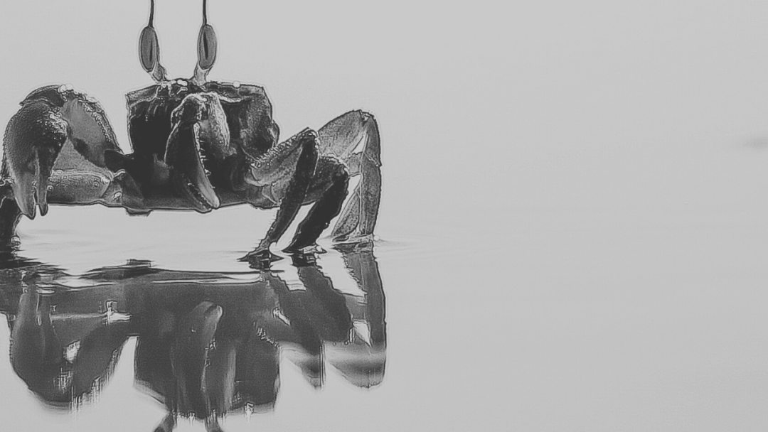 Cybersecurity - RUST