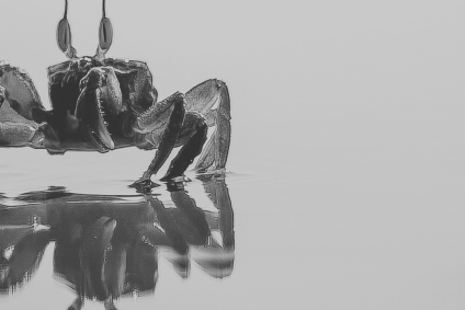 Cybersecurity - RUST