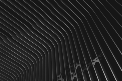 Crisis Management Biases