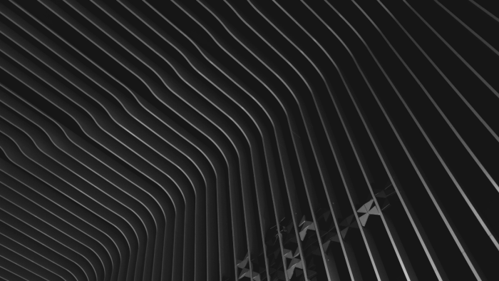 Crisis Management Biases