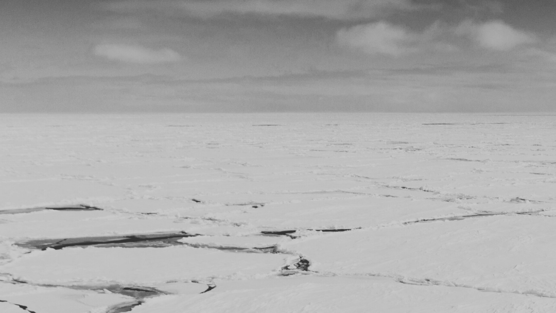 Cybersecurity Platform - EDR for Linux Protection