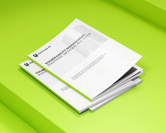 Vulnerability management: solutions, methods, and tools - Ebook