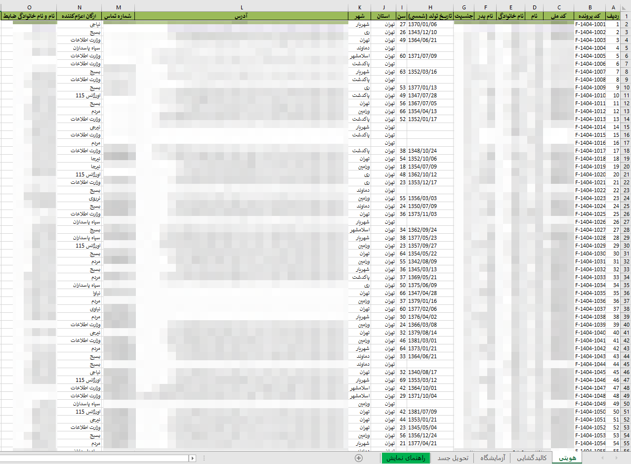 Figure 1 - Contents of لیست نهایی_جانباختگان_دی_1404_تهران_بخش اول.xlsm