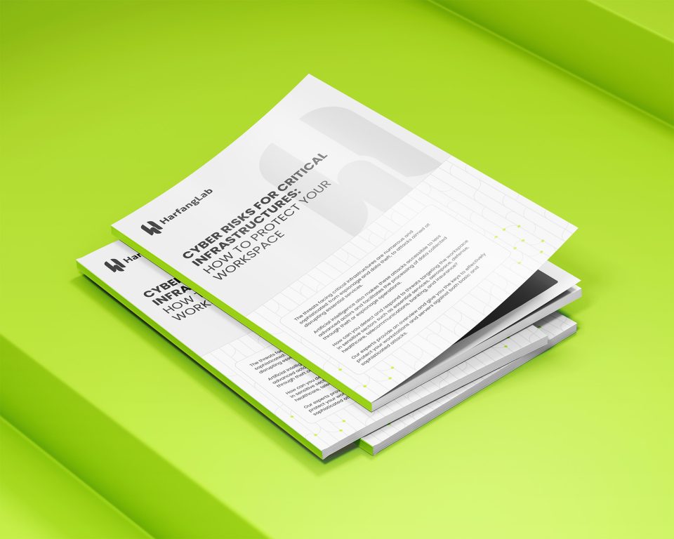 Cybersecurity risks for critical infrastructures